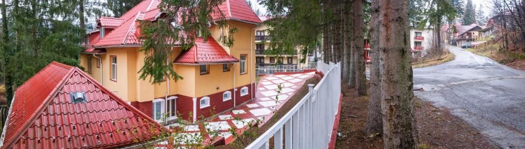 Гостевой дом Clermont Sinaia Синая-62